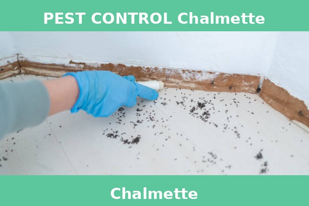 PEST CONTROL Chalmette